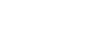 Logo Madd Systems